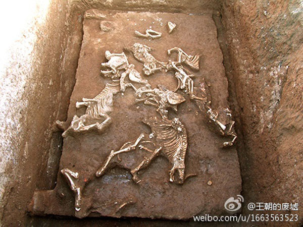 西安财院新校区挖出秦始皇祖母墓穴