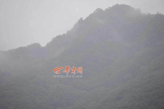 2014091217411200884_550_副本.jpg