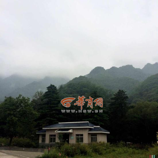 2014091217411200636_550_副本.jpg