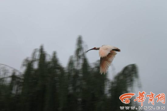 2014091712073000692_550.jpg