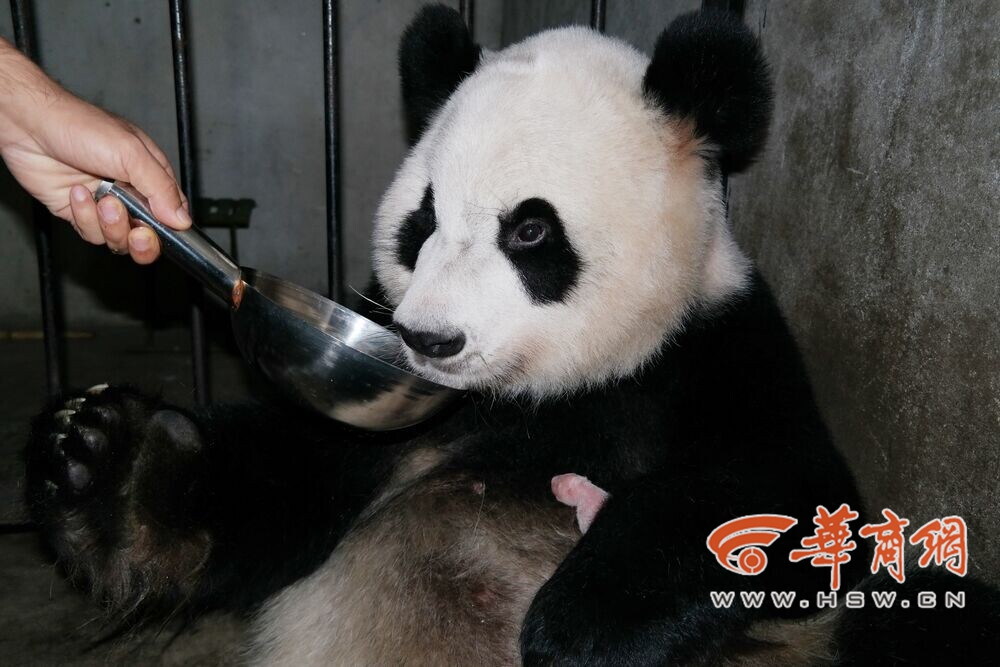 QQ图片20140917193037_副本.jpg