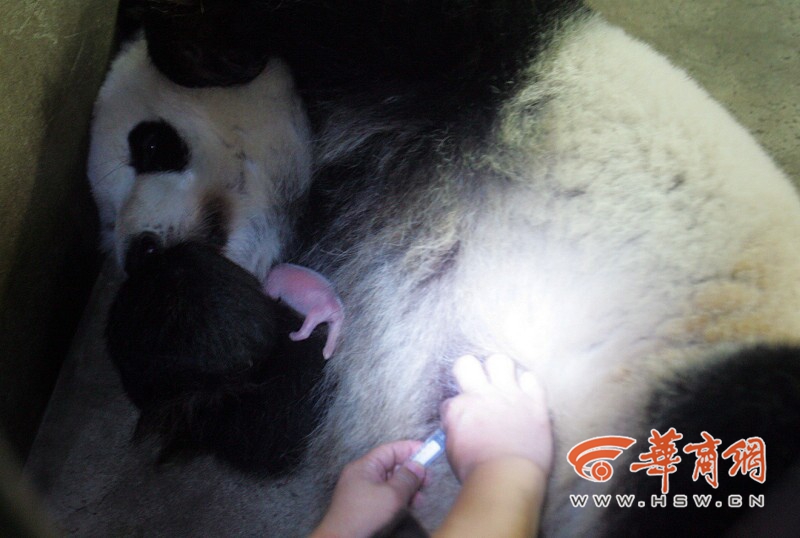 QQ图片20140917193032_副本.jpg