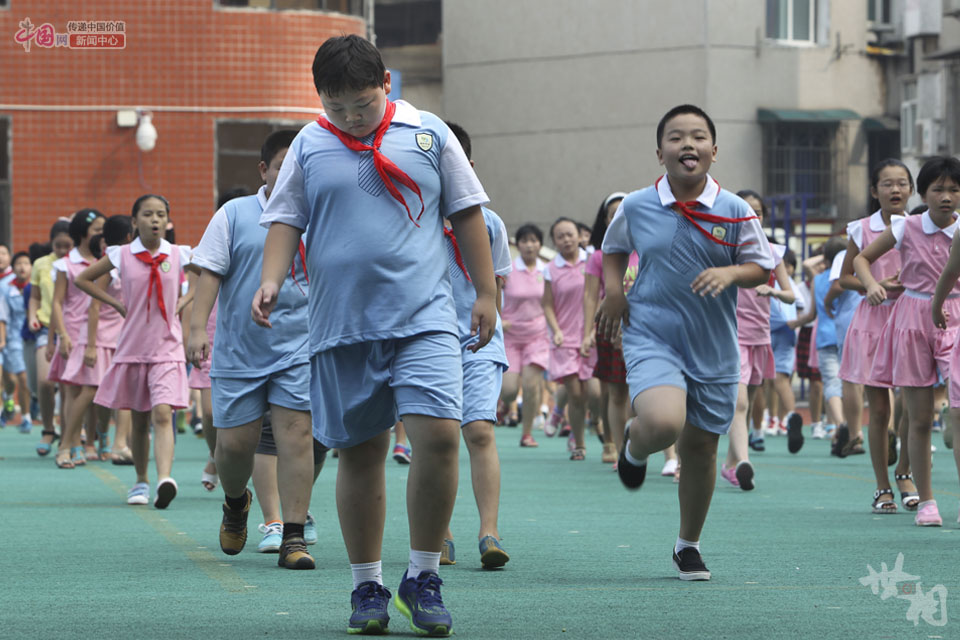 “逃”出训练营的小肥肥