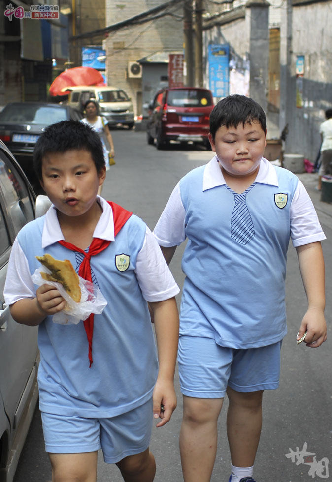 “逃”出训练营的小肥肥