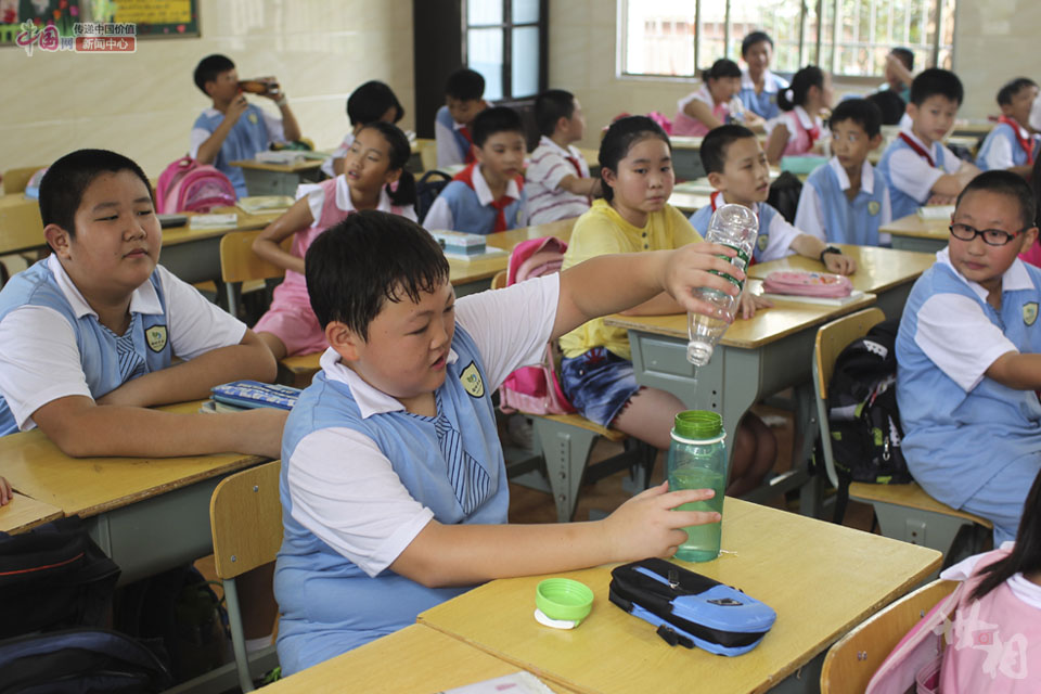 “逃”出训练营的小肥肥