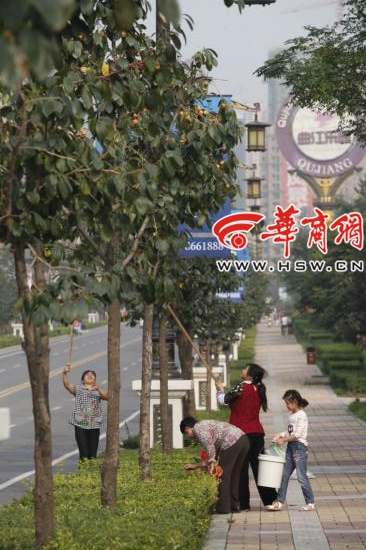 oYYBAFQdcrCAB0g3AACuPL7q0Ls821.jpg