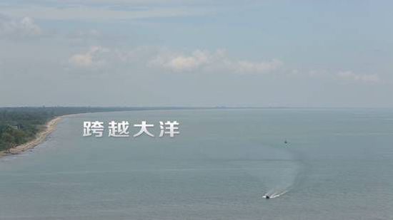 《爸爸在海外》催泪第二波 三个少年独闯海外荒岛寻工人父亲