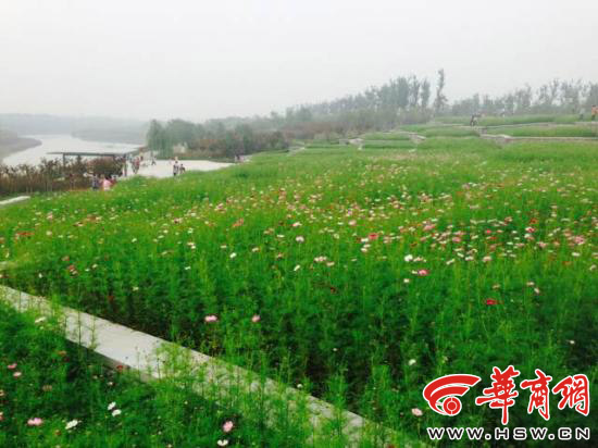 国庆来沣河湿地公园 人少景美不用长途跋涉