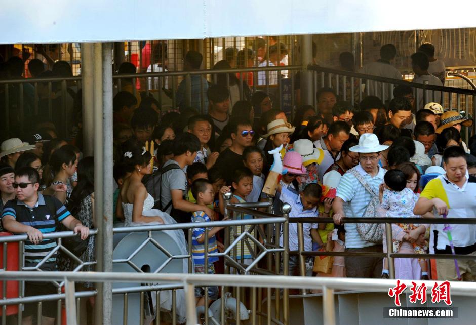 8万人上岛超“最大承载量” 厦门鼓浪屿被挤爆