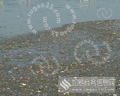 三峡水库现垃圾带 清漂工作目前正在全力开展