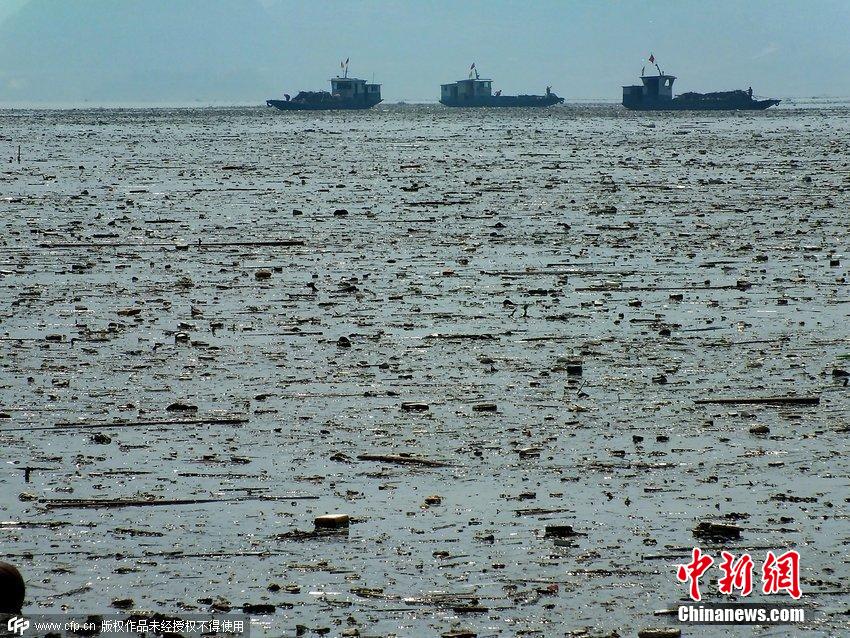 三峡水库现垃圾带脏到触目惊心 喜洋洋都泡胀了